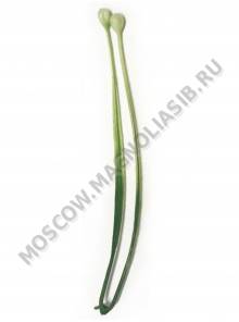 Москва ***Добавка для букетов травка пластм. с шариками 15 см