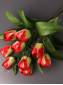 Букет тюльпанов 9гр 50см (роз крас бел крас-оран крас-зел)