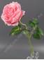 Ветка розы 52см (бел персик св-роз крас мал бор сир)