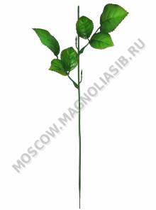 МОСКВА Нога с двумя тройными листьями розы 34 см