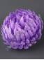 Хризантема шар Ностальжи 13 см (сир.чайн,бел,роз,крас. оранж.)