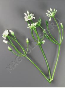 Добавка для композиций тройная с белым соцветиями 10 см 