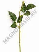 Москва Нога розы с 1 листиком и цветочками 43 см