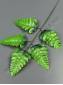Лист папоротника Орляк 5 листьев 36см