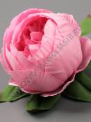 Пион шаровидный Тайфун хлопок 8сл 10см (бел сир свек роз перс борд микс)