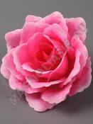 Роза Блессинг 5сл 12,5см (бел крас син перс роз бордо сир)/К